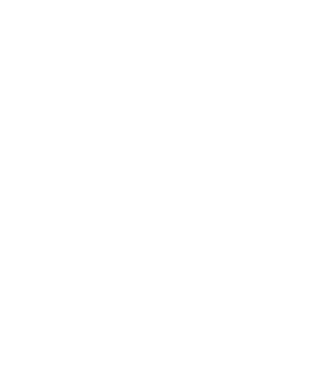 vrCAVE logo